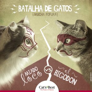 Cat's Best batalha de gatos "Mucha Fofura" entre os gatos Miado Loco e El Bigodon