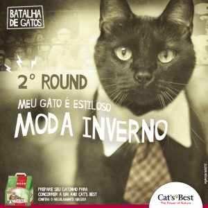 Segundo round # Batalha de Gatos com o tema "meu gato é estiloso, moda inverno"