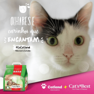 Anúncio da Cat's Best e Catland com um o rosto de gato e a frase "Olhares e carinhos que encantam"